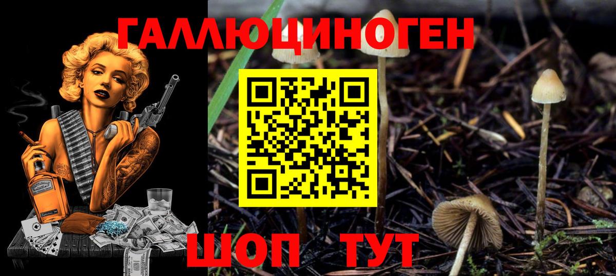 Псилоцибиновые грибы мухоморы Октябрьский